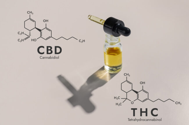 In 5 Years, How will CBD Oil Improve the World?