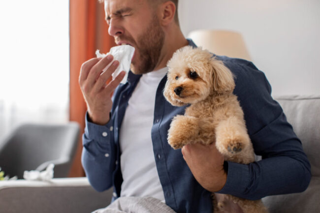 Superar las Alergias a las Mascotas y Mantener a tus Mascotas en 5 Pasos