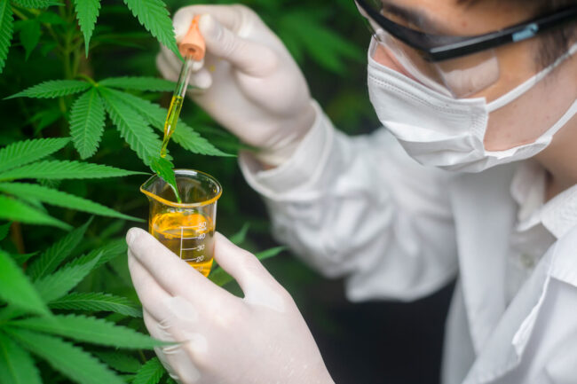 9 Medications You Should Avoid Mixing with CBD