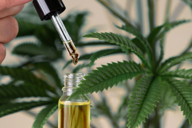 Navigating Multiple Sclerosis with CBD: Expert Guidance