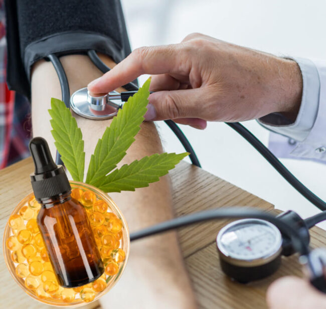 CBD for Blood Pressure: Benefits to Help your Heart Health