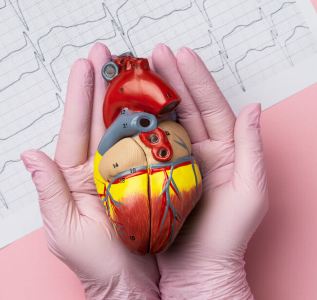 Enfermedad de las Válvulas Cardíacas: Tipos y 5 Causas Comunes