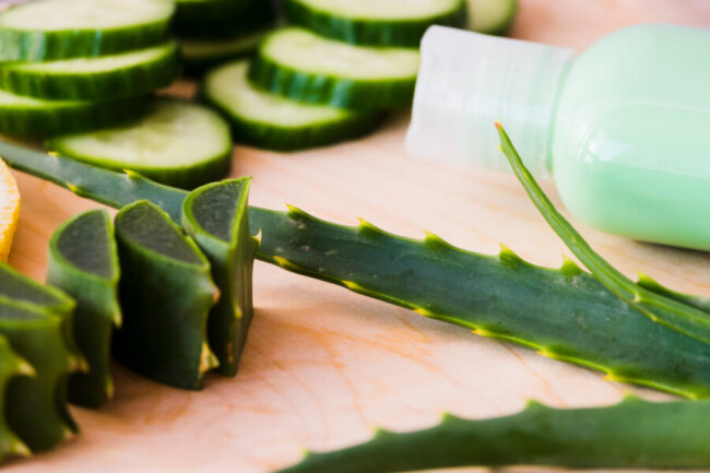 6 Beneficios del Aloe Vera para la Caspa: Remedios Naturales