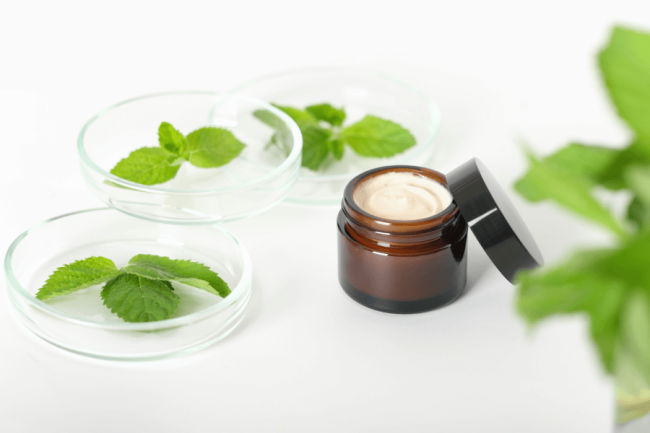 Lemon Balm: 8 Properties and Benefits for the Skin