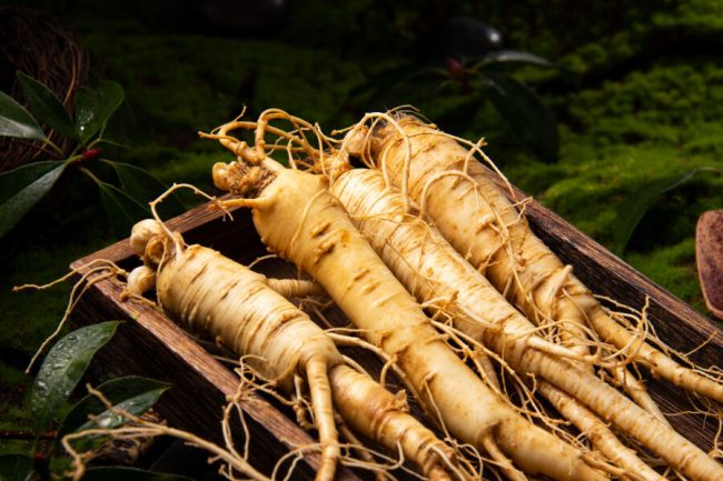 ¿Cuál es la diferencia entre el ginseng asiático y el ginseng coreano?