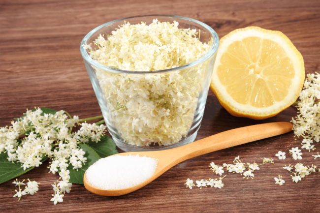 Elderflower Drink: Preparation and Properties