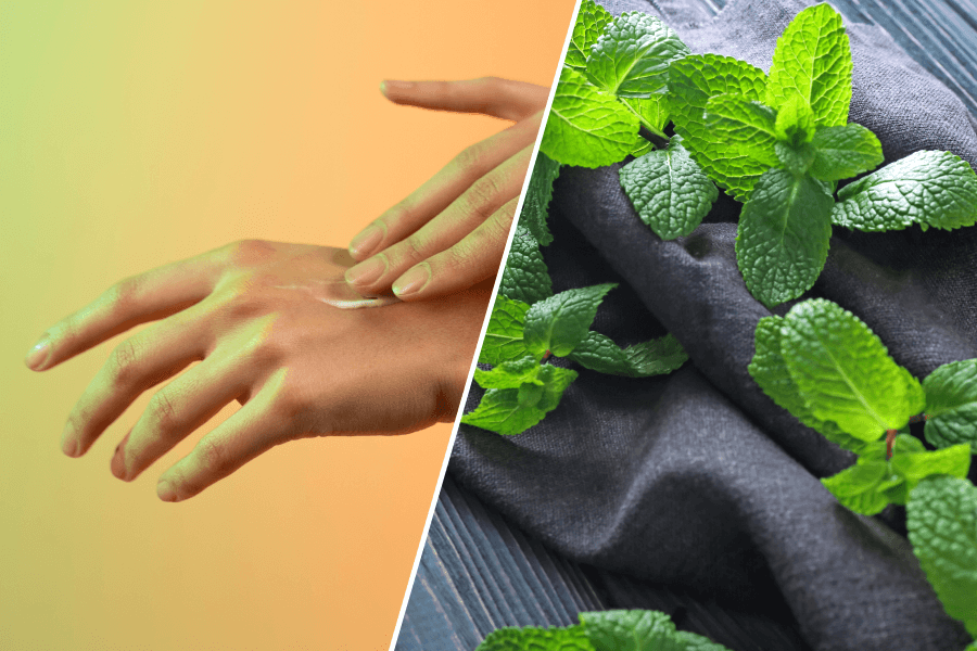 Lemon Balm Benefits: 10 properties for the Skin