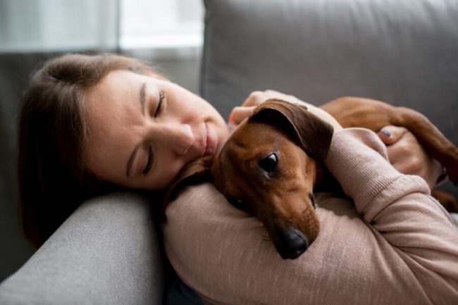 Holistic Pet Care at Home: 7 Simple Ways to Practice it