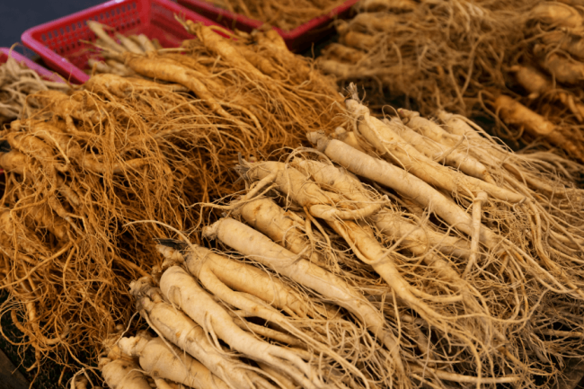 ¿Para qué usan los asiáticos el ginseng?