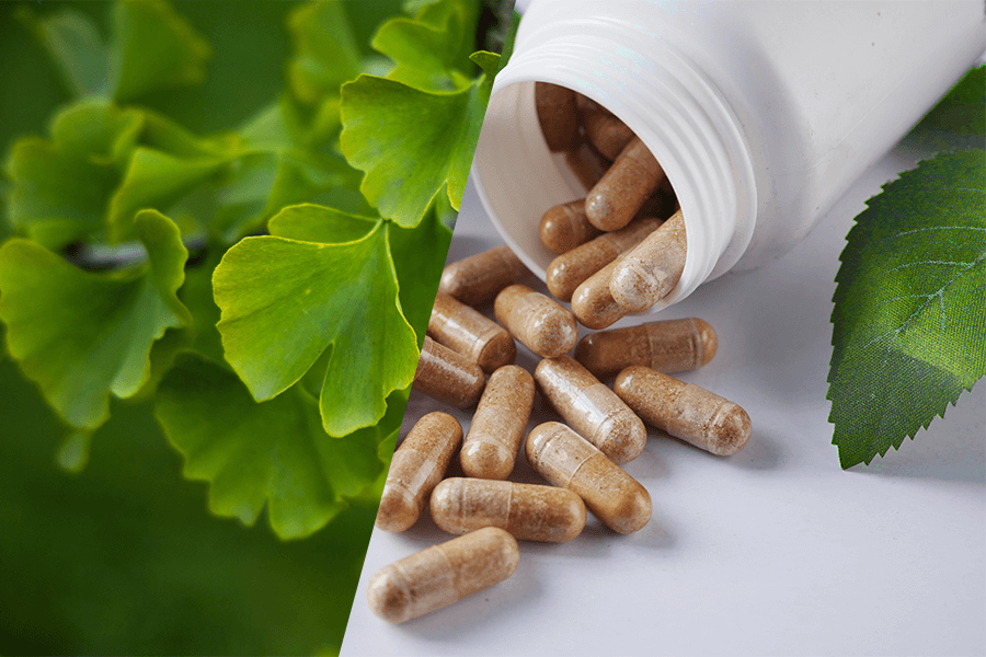 Ginkgo Biloba: Effective Ways to Take It for Health Benefits