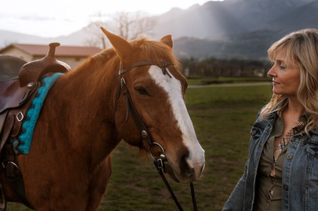 How Long Can Horses Live? Tips for a Healthy and Long Life