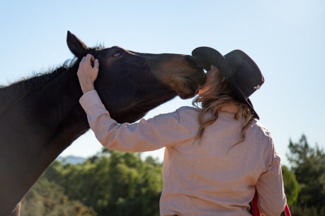 Naturopathy for Horses: Remedies and Holistic Solutions