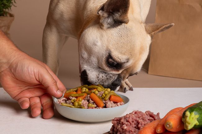 9 Mejores Alimentos Naturales para Perros 2024: Una Guía para Dueños de Mascotas