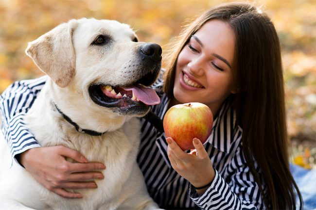 Guía de Alimentos Naturales para Perros: Top 9 para el 2024