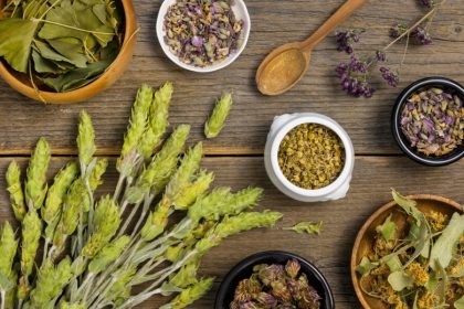 Adaptogenic Plants: How They Help the Body Manage Stress