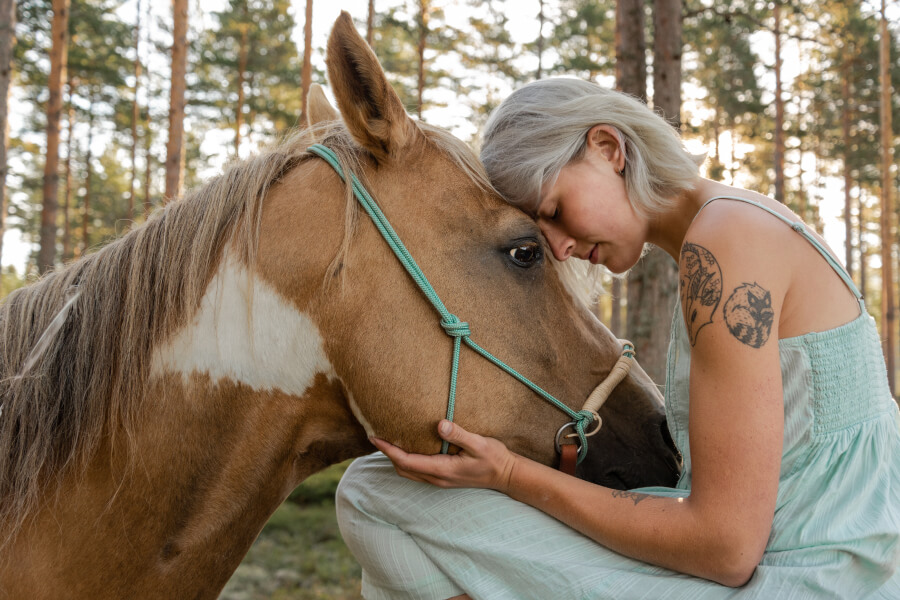 Adopting a Rescue Horse in Spain: What You Need to Know Are you ready to open your heart to a rescue horse? Adopting a rescue horse in Spain is a fulfilling experience that contributes to animal welfare. This guide will walk you through everything you need to know, from understanding the horse rescue movement to choosing the right horse, navigating the adoption process, and taking the first steps toward building a bond with your new companion. The Importance of Horse Rescue in Spain The Horse Rescue Movement In Spain, the movement surrounding adopting a rescue horse has gained significant momentum. Dedicated rescue organizations work tirelessly to rehabilitate and rehome horses that have faced neglect or abandonment. Many horses end up needing rescue due to financial hardships, changing ownership situations, or lack of proper care. Challenges Faced by Rescue Horses When considering adopting a rescue horse, it's essential to understand the challenges these animals may face. Many rescue horses have experienced physical injuries, poor diet, or emotional stress, requiring patient handling and specialized care. Understanding these potential challenges can help you prepare for the commitment of adopting a rescue horse and ensure you can provide the support they need. Benefits of Adopting a Rescue Horse There are countless rewards to adopting a rescue horse. By giving a horse a second chance, you change their life and enrich your own. Rescue horses can be incredibly loyal companions, and many find joy in building a strong bond with their adopted horses. Adopting a rescue horse is often more budget-friendly compared to purchasing a horse, as many rescue centers have affordable adoption fees. Finding the Right Rescue Horse for You Evaluating Your Experience Level with Horses Before moving to adopting a rescue horse, assess your experience level. Are you a seasoned equestrian or a beginner? Understanding your skills is important when finding a horse that matches your experience. Rescue horses may require different levels of handling, so matching your skills with the horse's needs can significantly increase the chances of a successful adoption. Identifying Your Lifestyle and Needs Consider your lifestyle and how adopting a rescue horse will fit into it. Do you have enough time, space, and resources to care for a horse? Horses require daily feeding, grooming, and exercise, as well as companionship. Being honest about your available time and energy will help you make a choice that benefits both you and your horse. Different Horse Breeds and Their Characteristics When adopting a rescue horse, familiarize yourself with different breeds and their characteristics. Some breeds are more spirited, while others are calm and gentle. Knowing the breed can help you choose a horse that aligns with your expectations and needs. For instance, a more energetic breed might be suitable for an experienced rider, while a calmer horse could be better for a beginner. Where to Adopt a Rescue Horse in Spain Top Rescue Centers Across Spain Spain is home to several reputable horse rescue centers that offer opportunities for adopting a rescue horse. Organizations like CyD Santa María in Málaga and the Easy Horse Care Rescue Centre in Alicante focus on rescuing and rehabilitating horses from difficult situations. These centers ensure horses receive proper care before adoption, making them excellent choices for prospective adopters. How to Research and Contact Rescue Organizations When starting your journey of adopting a rescue horse, research nearby rescue organizations. Many have websites or social media profiles showcasing available horses, adoption processes, and facilities. Reaching out to ask questions and arrange visits can provide valuable insight into their approach and the horses in their care. Networking with Local Equestrian Communities Local equestrian communities are a fantastic resource when searching for a rescue horse. Many groups have connections with rescues and can offer tips for new adopters. Networking can provide you with insights and support as you embark on the journey of adopting a rescue horse. The Adoption Process Application Requirements for Horse Adoption Adopting a rescue horse involves more than simply picking one; you’ll need to complete an application. Requirements vary by organization but often include proof of adequate shelter, financial readiness, and prior experience with horses. Some centers may conduct interviews or request references to ensure you’re prepared for the responsibilities of horse ownership. The Home Visit: What to Expect Many rescues require a home visit to ensure you have a suitable setup for your new horse. This includes having enough space, a proper stable, and safe outdoor areas for grazing and exercise. The home visit is also an opportunity for you to ask questions and get feedback from the organization about how to improve your facilities if needed. Trial Periods: Ensuring a Good Match Some organizations offer trial periods, allowing you and the horse to get to know each other. This is beneficial because it ensures a good match and reduces the likelihood of rehoming. A trial period allows you to observe the horse’s behavior, needs, and quirks before fully committing to the adoption process. Caring for Your Newly Adopted Rescue Horse Essential Care Needs and Daily Routine Caring for a horse requires a structured daily routine that includes feeding, grooming, and exercise. Horses thrive on routine, so establishing a daily schedule can help them feel safe and secure. Be prepared for regular vet visits, and ensure that your horse has access to clean water and high-quality feed. Rehabilitation and Training Considerations Many rescue horses need some degree of rehabilitation or retraining. Gentle training techniques, patience, and possibly working with a trainer can help build trust and gradually introduce positive behaviors. This can be particularly important when adopting a rescue horse that may have experienced trauma. Building a Bond with Your Rescue Horse Building a bond with your rescue horse can be one of the most rewarding aspects of adoption. Spend time grooming, feeding, and simply being with your horse to establish a connection. Positive reinforcement training and gentle handling are key to building trust with a rescue horse. Common Myths About Rescue Horses Misconceptions about Behavior and Training A common myth surrounding adopting a rescue horse is that these horses are "difficult" or "untrainable." While some may have specific needs due to their past, many rescue horses respond well to kindness, patience, and proper training. Every horse is unique, and with the right support, many rescue horses can thrive in a loving home. The Truth About Health Issues in Rescue Horses Rescue horses may have health issues that come from past neglect, but with veterinary care and proper nutrition, many recover and lead healthy lives. Be prepared for potential costs associated with vet care and rehabilitation, but remember that a well-cared-for rescue horse can thrive for years. The Community and Support Systems Available Joining Support Groups and Online Forums Support groups and forums are invaluable for new horse owners, offering advice on training, healthcare, and bonding. Many groups in Spain focus on rescue horse owners, providing a supportive community and resources tailored to your experience. Joining these communities can help you navigate the journey of adopting a rescue horse more smoothly. Opportunities for Volunteering and Giving Back Many rescue centers welcome volunteers. Volunteering is a great way to give back and gain hands-on experience with horses. Consider spending time at a local rescue to understand more about these horses’ needs and challenges while helping with their care. Participating in Events and Fundraisers Horse rescues often host fundraising events to support their mission. Attending or participating in these events can be a fun way to connect with the equestrian community and support a cause close to your heart while also learning more about adopting a rescue horse. Conclusion Adopting a rescue horse in Spain is an opportunity to make a difference, learn, and experience the joy of building a bond with an incredible animal. With proper research, preparation, and support, you can provide a safe, loving home for a horse in need. Whether you’re driven by a love for animals, a desire to give back, or a passion for equestrianism, adopting a rescue horse is a fulfilling journey that benefits both you and your horse. FAQs Can you own a horse in Spain? Yes, owning a horse in Spain is possible, provided you meet local regulations on animal welfare and stable requirements. Why do horses need to be rescued? Many horses require rescue due to financial issues, neglect, or abandonment, especially during times of economic hardship. Do horses respond to kindness? Absolutely. Horses are intelligent and sensitive animals that respond well to gentle, consistent handling and kindness. What are horses scared of the most? Horses can be sensitive to sudden noises, unfamiliar environments, and sometimes specific animals like dogs, which may cause them to feel threatened.