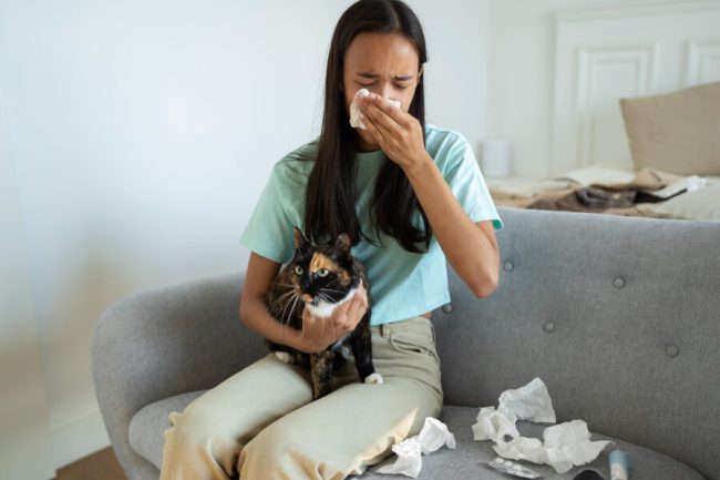 ¿Pueden tener alergias las Mascotas? Descubre 4 SÍNTOMAS PRINCIPALES