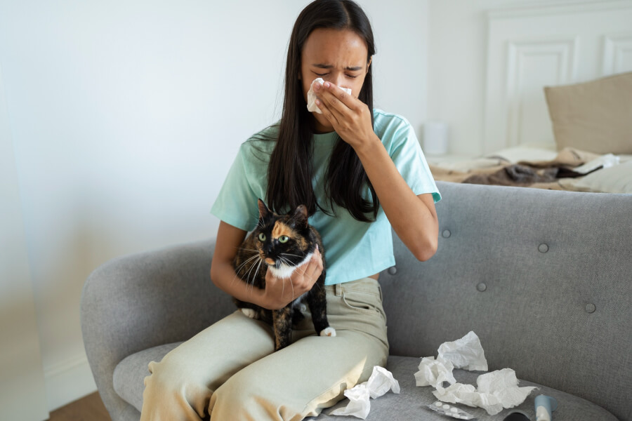 ¿Tu mascota tiene alergias? Conoce los 4 Síntomas Claves