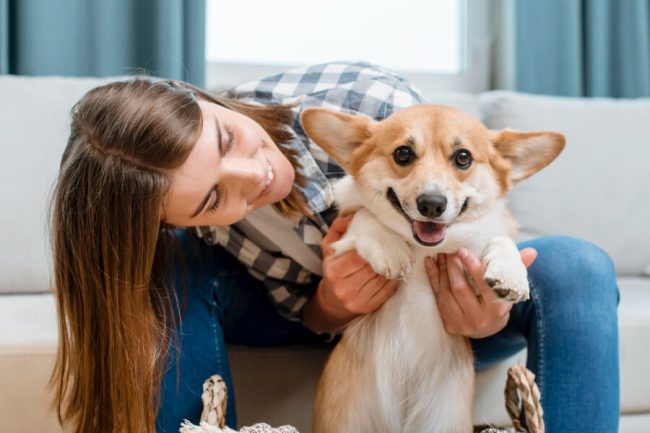 Cómo Mejorar la Salud Articular de tu Perro de Forma Natural