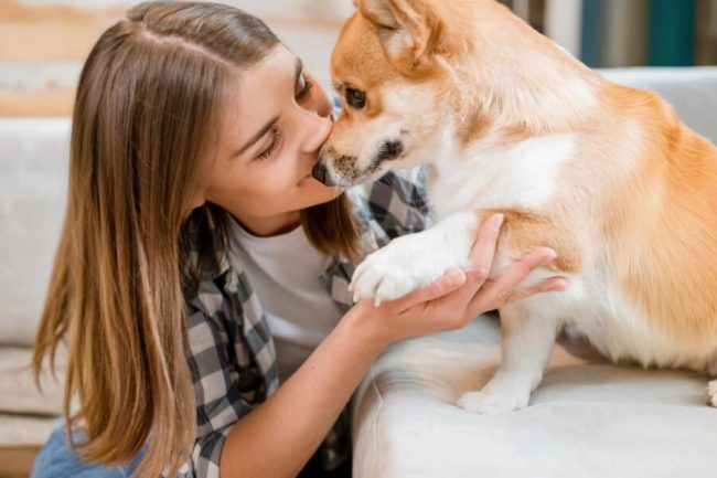 Cómo Mejorar la Salud Articular de tu Perro de Forma Natural