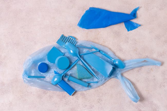 Plastic Use Reducing: 12 Effective Eco Tips for Daily Life