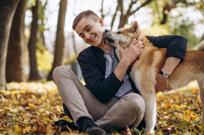 What Dogs Recognize About Their Owners?