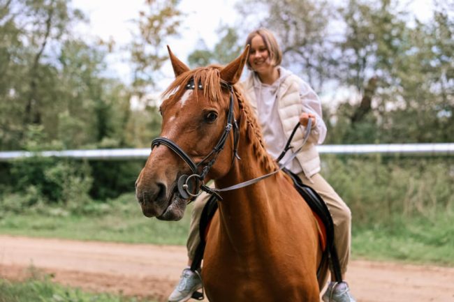 Horse Environment: 10 Facts for Perfect Mental Health