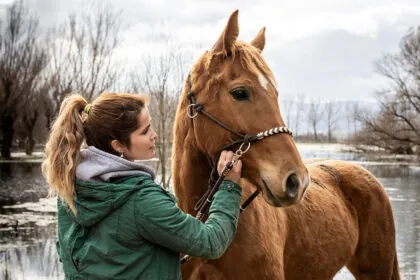 Horse Depression: An Enemy of Equine Health 14