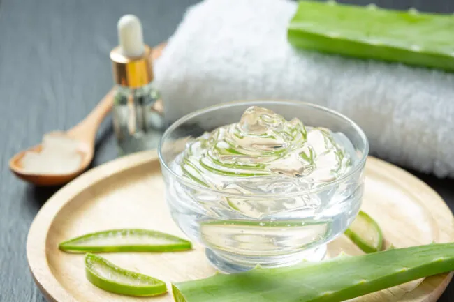 Beneficios y usos del gel de aloe vera para el tratamiento del acné y las cicatrices