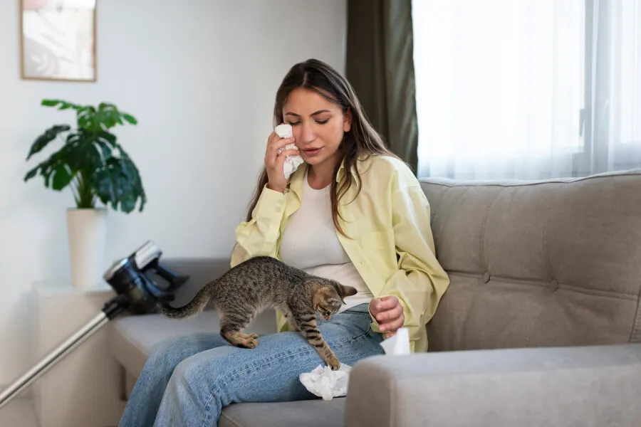 Home remedies to Reduce Cat Allergy Symptoms
