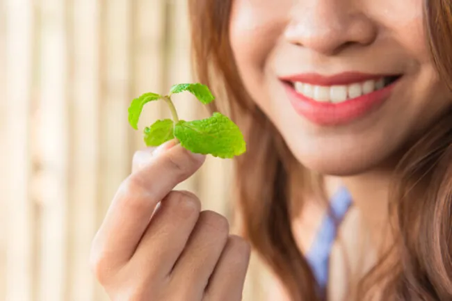 Remedios Naturales para el Dolor de Muela en Niños