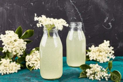 Elderflower Drink: Preparation and Properties