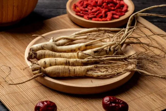 ¿Cuál es mejor, el ginseng asiático o americano?