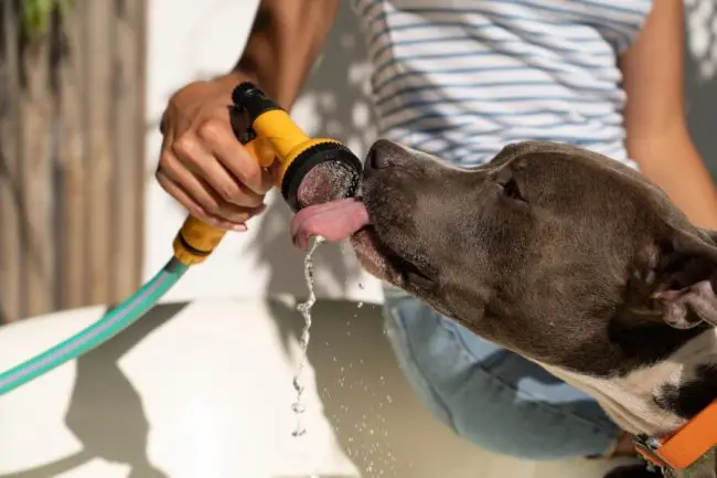 Evitar Alertas de Calor Excesivo: ¡10 Maneras de Descúbrelo!