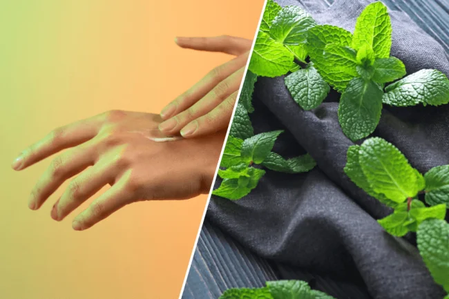 Lemon Balm Properties: 10 Benefits for the Skin