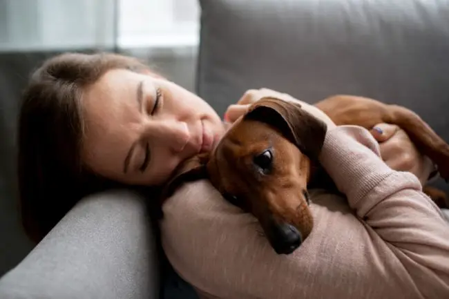 Cuidado Holístico de Mascotas en Casa: 7 Maneras Simples 