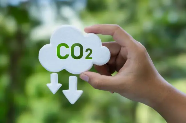 6 Simple Tips to Reduce Your Carbon Footprint