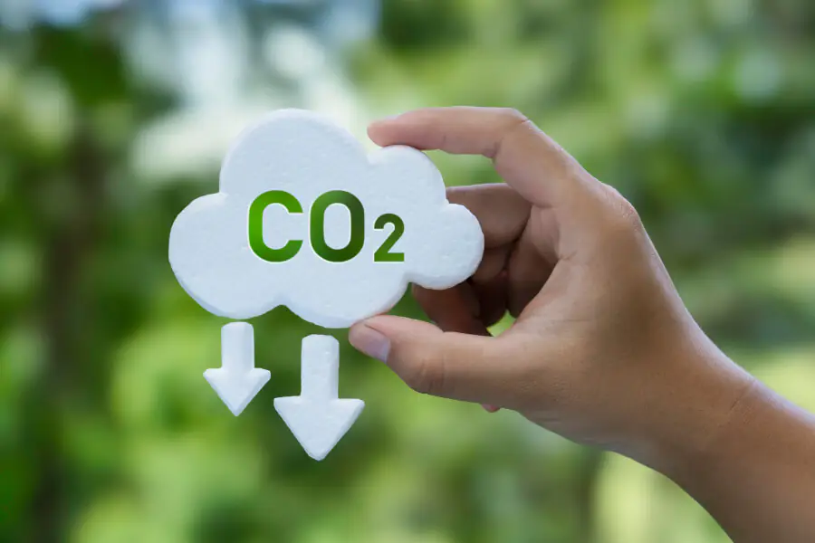 6 Simple Tips to Reduce Your Carbon Footprint