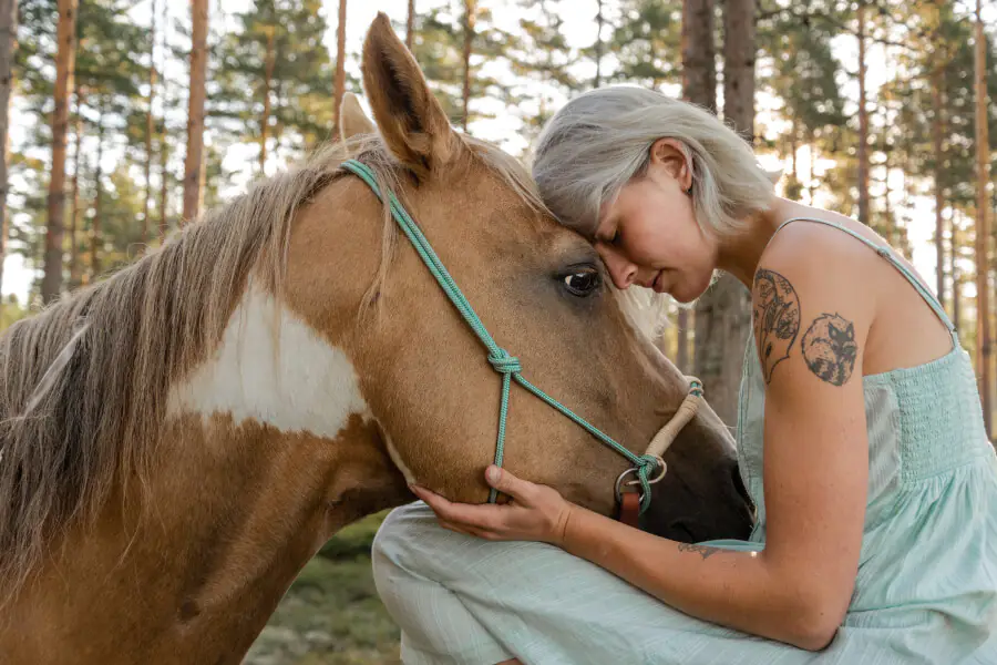 Adopta un Caballo Rescatado en España: Lo que Puedes Saber