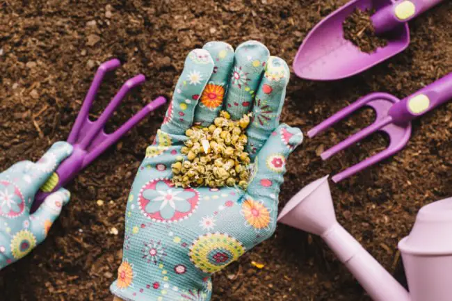 Cómo Cultivar un Huerto Orgánico Sostenible en Casa