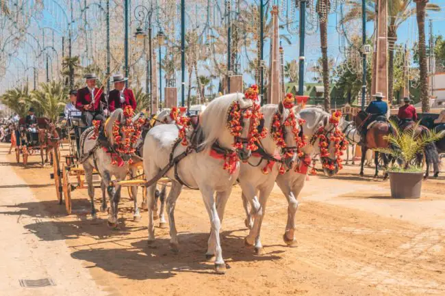 Paraíso ecuestre en Jerez de la Frontera: Guía Completa