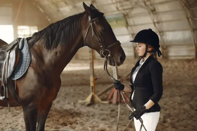 Cómo el Entorno de un Caballo Afecta su Salud Mental