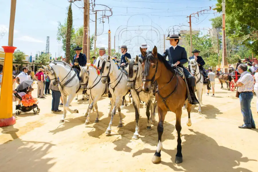 Paraíso ecuestre en Jerez de la Frontera: Guía Completa