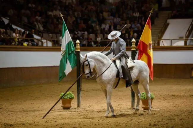 Paraíso ecuestre en Jerez de la Frontera: Guía Completa