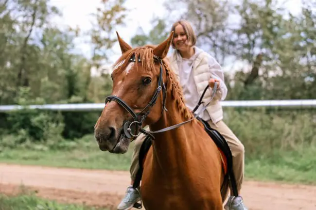 Cómo el Entorno de un Caballo Afecta su Salud Mental