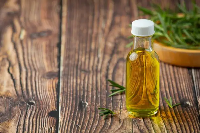 15 Oregano Oil Benefits: A Natural Cure-All